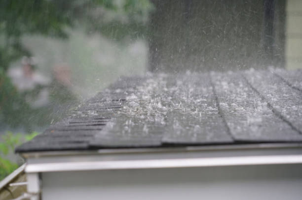 Best Skylight Installation and Repair  in Putnam Lake, NY